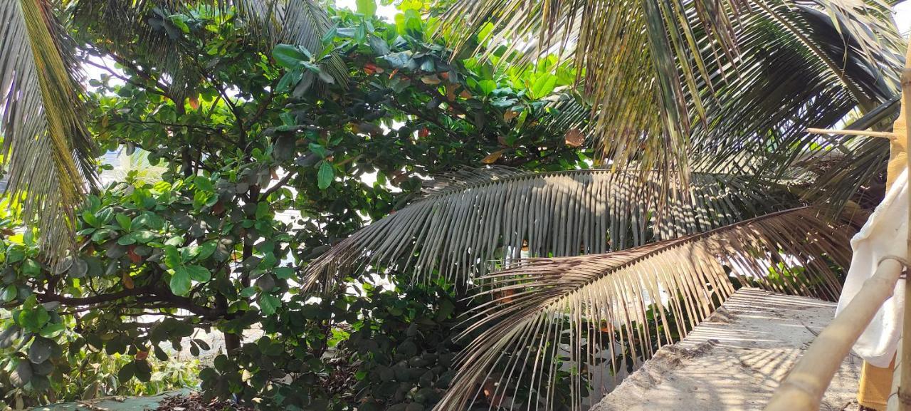 Est Hem Guesthouse Arambol Bagian luar foto